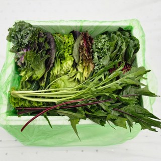 멋진농부 모듬쌈 샐러드 채소모듬, 모듬쌈채소1kg, 1개