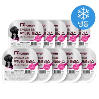 듀먼 전연령 강아지 케어플러스 피부건강 화식사료, 흰살생선, 50g, 10개