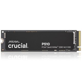 마이크론 Crucial P510 M.2 NVMe 아스크텍, CT2000P510SSD8, 2TB