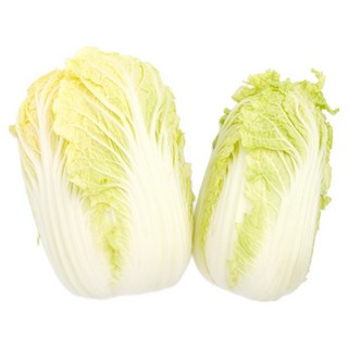 알배추 알배기 쌈배추 2통 속노란 단배추, 1kg, 1개