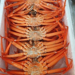 [일품홍게] 수율90% 박달홍게 프리미엄 당일조업, 1박스, 5kg (특A급 박달홍게 15~17미) 수율90%