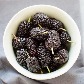 [양잠농협] 햇 오디 씻어나온 세척오디 토종오디 산청산 냉동오디 급냉, 1박스, 4kg(1kg*4팩)