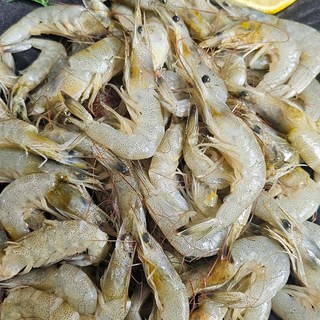 [국내산] 어획즉시 동결 중하새우 1kg 80~100미 김장 장용 새우장 새우튀김 국물새우, 1개, 2kg (160-200미)