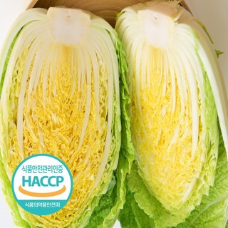 [예약판매] 해썹인증 해남 절임배추 절인 김장 김치 20 PLS, 01. *연중출하(받을날짜기입요망,5일후이상), 1박스, 20kg