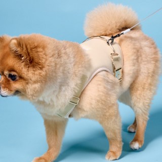 펫셔스 강아지 슬개구 슬개골 탈구 관절보호 소형견 하네스 관절건강 x자 x형