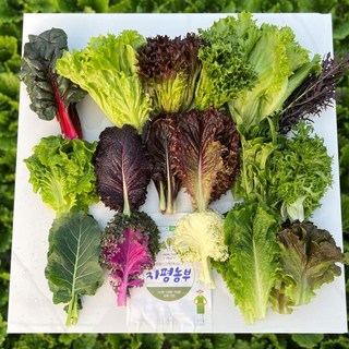 [GAP인증] 지평 농부 샐러드 모듬채소(1kg), 1개, 1kg, 샐러드모듬채소1kg