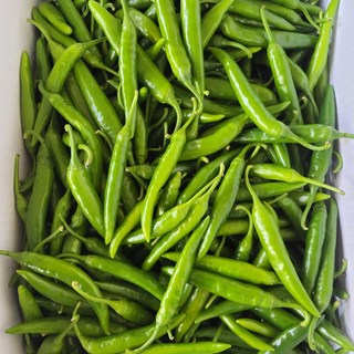 초특가 새벽작업 당일발송 특품 햇 매운고추 청양고추 1kg, 1개