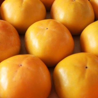 [25년 국산 햇단감]고당도 과즙팡팡! 부유 진영단감 산지직송, 1박스, 부유단감 10kg 소 63~72과