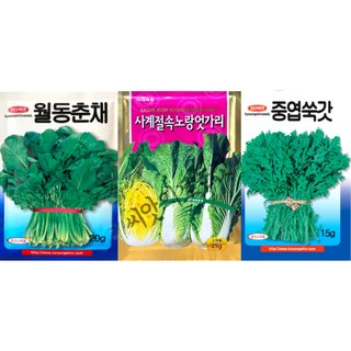 배추씨앗 엇갈이 쑥갓종자 월동춘채하루나 3봉1세트 나물종자, 1세트