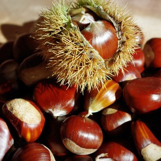 국내산 달콤포슬 햇밤 대사이즈, 1개, 4kg