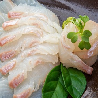 두팜 당일작업 대광어 숙성 광어회 250g 500g 활어작업, 광어필렛 500g, 1개