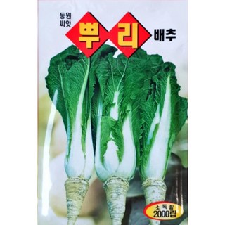 농사친구 뿌리배추 씨앗 2000립 동원 씨 종자 김장 배추 무 채소 텃밭 베란다 모종 불암 토광 알타리 베타, 1개