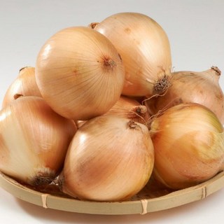 [오늘야채]25년 창녕 햇양파(중) 산지직송, 1개, 5kg (중)