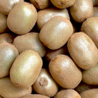 <가람> 제주산 신선한 그린키위/새콤달콤 참다래/프리미엄, 1박스, 3kg 특대과