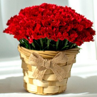 엘스토리 100송이 해바라기 카네이션 미니어처 꽃바구니, 1개