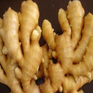 마시존 햇 수입 세척생강 10kg 최상품 신선생강 대강 면강 생식용 육수용 조리용 절임용, 1개