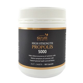호주 고함량 프로폴리스 5000mg 180정 6개월분 네이쳐인더보틀, 1개