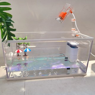 페이토 깨지지않는 세이프티 안심어항 크림화이트, 1개