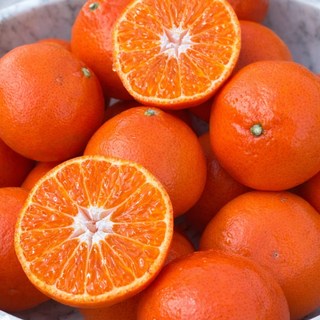 [한정특가] 초고당도 15BRIX 제주감귤 홍매향, 1박스, 2키로 일반