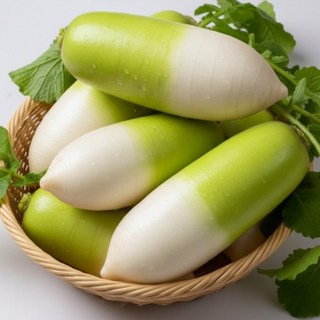 맛있는 제주도 월동무 세척무, 1박스, 10kg