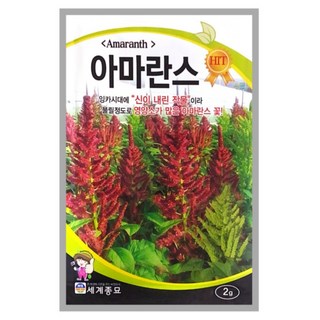 아마란스 꽃씨 2g, 1개