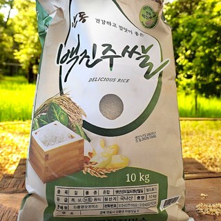 국산] 당해 25년 햅쌀 안동 백진주쌀 / 밥맛 좋은 찰진 윤기 차르르 백진주 쌀 경북 안동쌀, 1개