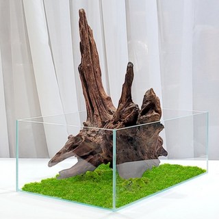 미미네아쿠아 올디아망 20 테라리움 스퀘어, 없음