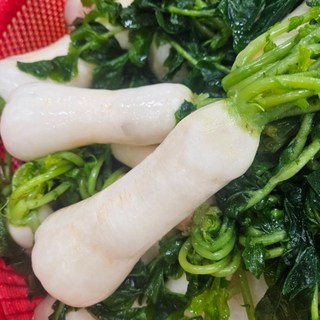 [아리파머스] 절임 알타리무 강원도 총각무 손질 세척한 3.5.10kg 선택가능 알타리 김치, 절임알타리 3kg, 1개