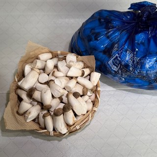 팜n팜 친환경 새송이 버섯, 1박스, 미니 새송이 1kg