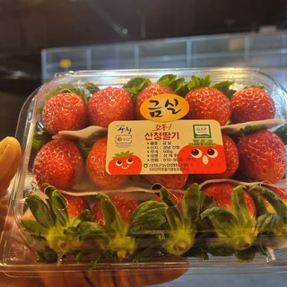 [부자농산] 프리미엄 지리산 금실딸기 3X5 대과, 2개, 500g