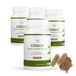 NUINE 시서스알약 70배 고농축 90캡슐 x 4통 시서스캡슐 시서스 가루 분말, 90정, 4개