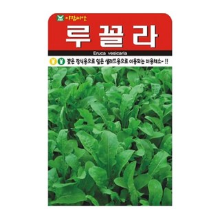루꼴라 씨앗 샐러드 채소 종자 씨, 3개