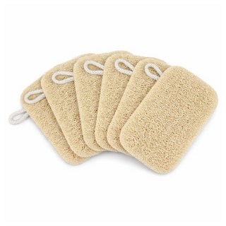 아띠꼴로 뽀득뽀득 6개1세트 주방 천연 수세미 설거지 식물 열매, 1세트