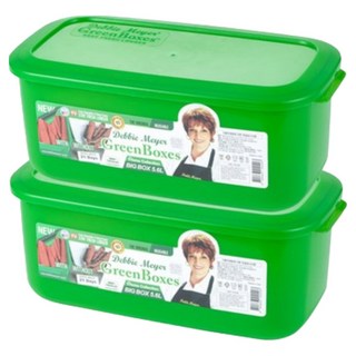 데비마이어 대파 과일 야채 보관용기 HC 빅박스 5.6L 2개