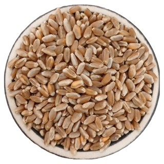 파로 2kg FARRO 엠머 밀 터키산 슈퍼푸드 고대 곡물 통곡물 고대원시곡물, 1개