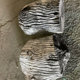 웨버 차콜 브리켓 숯, 5kg, 2개