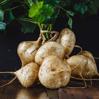 [프롬신선] 멕시코 감자 히카마, 1박스, 5kg