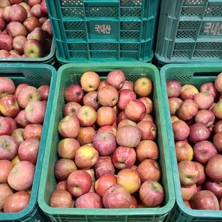 아침이슬 유명산지 주스용 사과 10kg / 5kg (흠 미색 점박이 수분빠짐 멍) 크기 품종 랜덤 박스무게포함, 1개