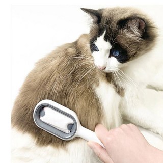 3in1 댕냥이 고양이 강아지 저자극 브러쉬 단모 장모 죽은털 엉킨털 제거 실리콘 빗 브러시, 3in1댕냥이브러시, 1개