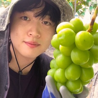 [17~19 Brix 당도보장] 김천뭉치네 샤인머스켓 GAP 우수재배인증, 1박스, 2kg 샤인머스켓 가정용4~5수