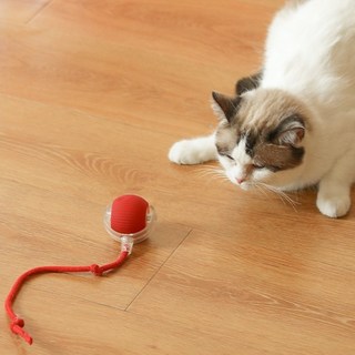 에스엠 츄이 도기볼 롤링볼 반려견 고양이 장난감 소형 자동 usb 급속충전 2세트, 2개, 빨강,회색.그린