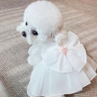 강아지 드레스 화동 셀프웨딩 촬영, 1개