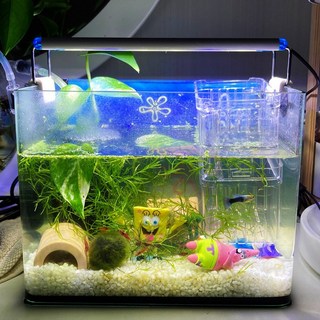 LED 수족관 등커버 어항조명 수족관등 어항등, 1개