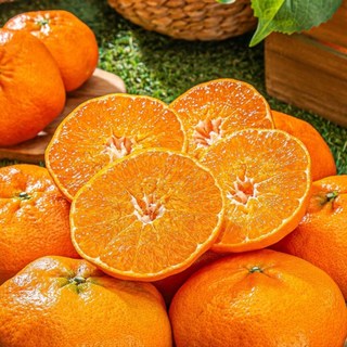 [특품] 비파괴당도선별 제주 고당도 레드향, 1박스, 초특가 3kg