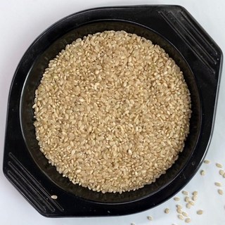 봉황뜰 국내산 일반현미 / 2025년산, 1개, 10KG