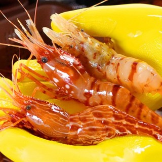 자연산 활 독도새우 꽃새우 닭새우, 3~4인 가족세트, 1개, 1kg