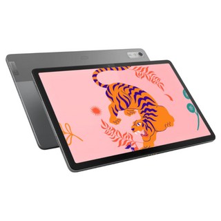 국내정발 레노버 탭 P11 프로 2세대 6G 128G 안드로이드 패드 [리퍼코리아], Wi-Fi, 128GB, 스톰 그레이