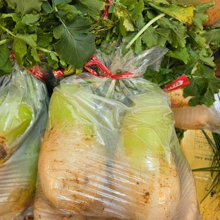 천수무 다발무 김장무 무우 무 7kg내외(1다발), 1박스, 천수무 1단(7kg내외)