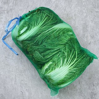국내산 포기배추 김장배추 통배추 망배추 생배추 배추1망, 9kg, 1박스
