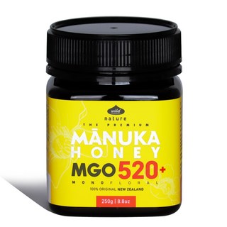 와일드네이처 아침에 좋은 마누카꿀 MGO520+ UMF15+ 동일수치, 1개, 250g